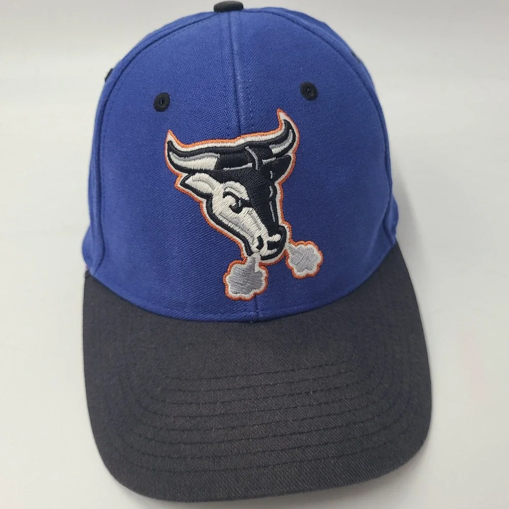 Vintage Durham Bulls Hat Fitted (Seems M-L) Twins Enterprise Blue Black MiLB Men